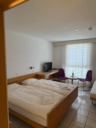 Hotel Lötschberg - image 7