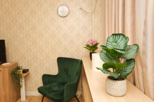Cozy Apartment Near Square 21 Tirana, Tirana (photo 3)