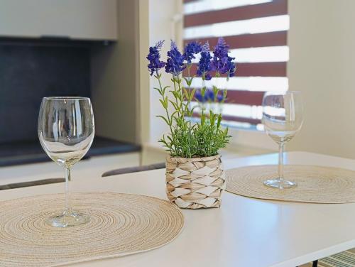 Widokowy Apartament z garażem w Rumi - blisko Gdynia