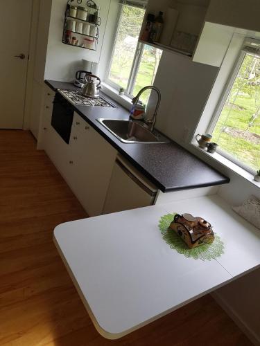 virtuve, Cozy Cabin, 2 min to the HWY1 in Tappen (BC)