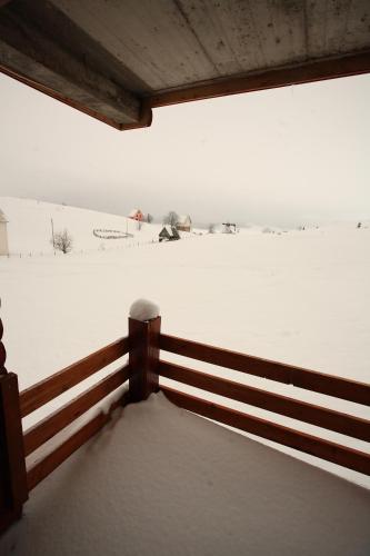 Family Apartments - image 14