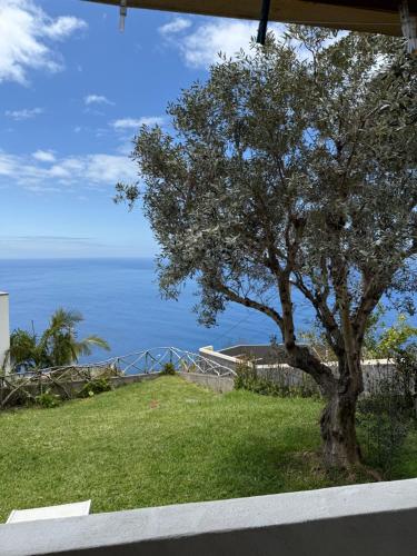 Cozy Sea View House Fajã da Ovelha gîte à louer Fajã do Pereira