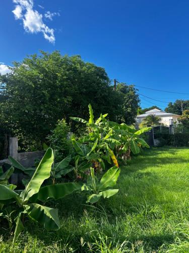 Näkymä ulkoa, Villa Cosy Malia in Deshaies