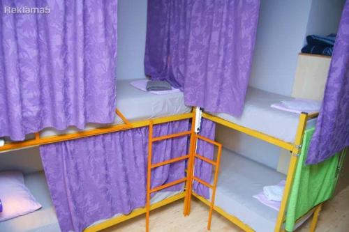 Bed in 8-Bed Dormitory Room