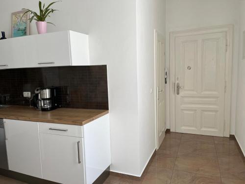 Schone Wohnung im Helenental in 巴登市中心