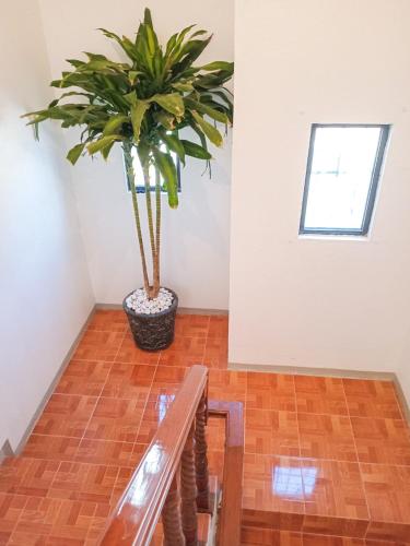 ทัศนียภาพภายนอกโรงแรม, Casa Apapacho in อักโตปัง