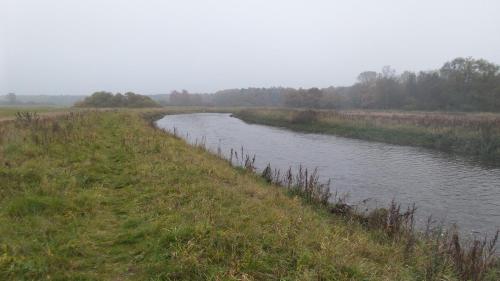 Surrounding environment, Ferienwohnung Ahausen in Ahausen