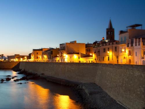 Seashells, Alghero (photo 10)