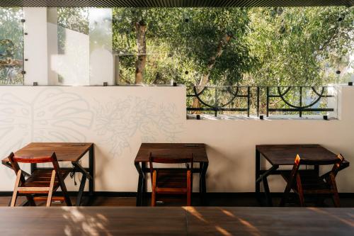 Casa Castillo Condesa in Mexiko Stadt