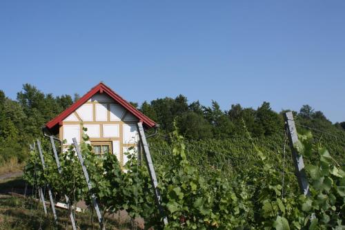 Schwarzer Adler - Hotel Garni