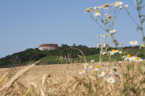 Schwarzer Adler - Hotel Garni