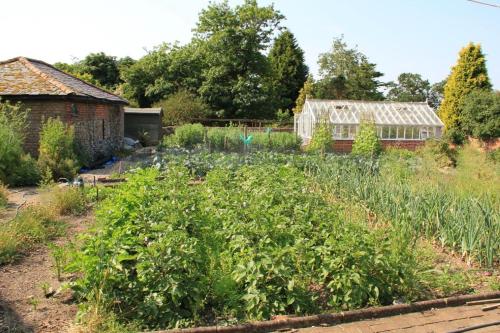 Haughley House - image 8