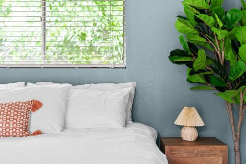 Swim at Barton, Sleeps 14 near Zilker, Downtown, Austin (foto 4)