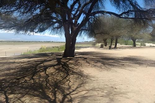 Camping Agreste "El Algarrobo de Quilmes" in Amaicha Del Valle