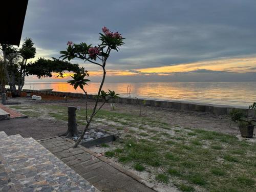 Afficher, La Seahorse Homestay, private villa sea view Sebong Pereh, Bintan Island in Sebong Lagoi