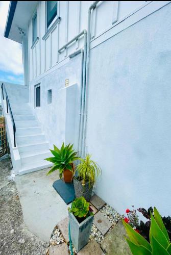 Giggly Nest in Lynmouth