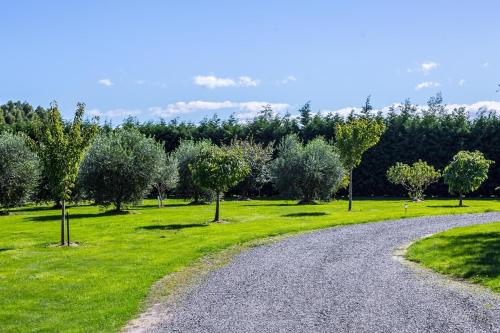 Paradise on Campbell, Martinborough (foto 9)