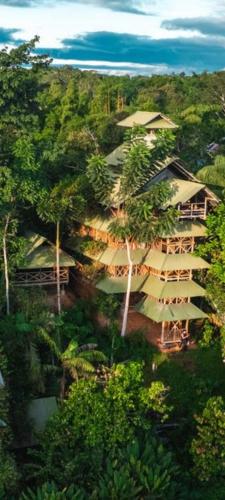 Paraiso Ayahuasca Hotel & Tours in Puerto Narino