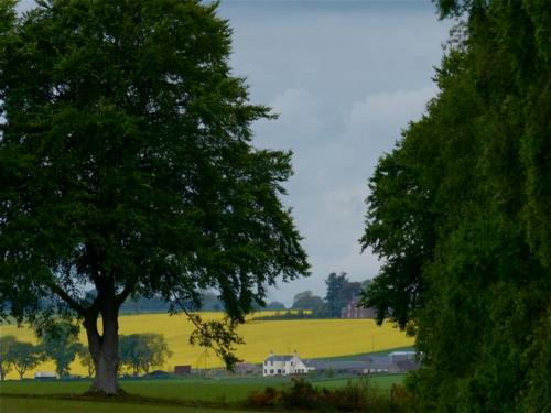 Drumshademuir Caravan & Camping Park