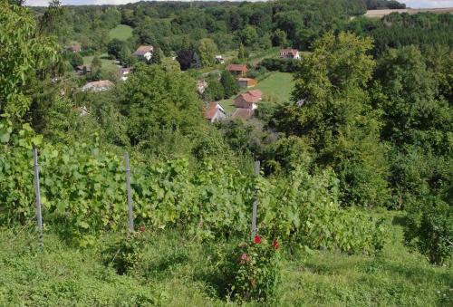 B&B CHEZ FOUCHS - Chambre d'hôtes