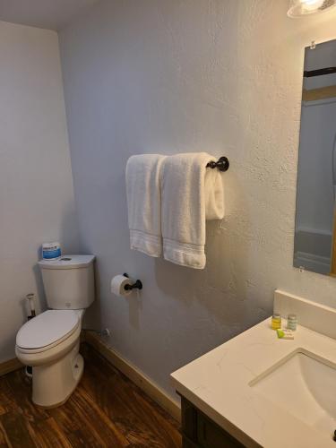 The Gold Mine Hotel - image 8