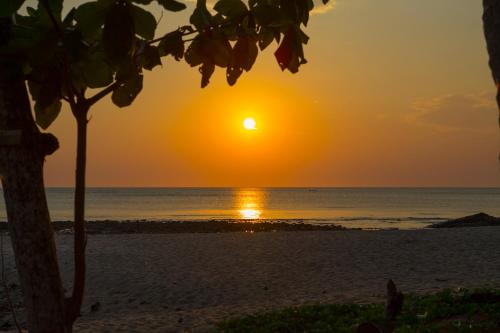 Lanta Coral Beach Resort