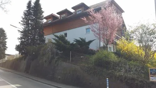 Mayerhofer House in Linz, Österreich