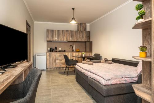 Комплекс Стадиона, Velingrad (fotografie 7)