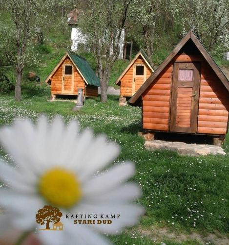 斯塔利度漂流营地旅馆 斯塔利度漂流营地旅馆