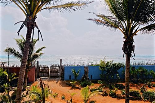 67760017 Zamas Hotel