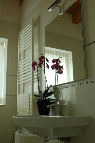 Quirinus Venetia Properties - main image