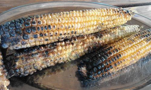 斯塔利度漂流营地旅馆 斯塔利度漂流营地旅馆