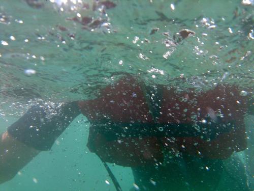 斯塔利度漂流营地旅馆 斯塔利度漂流营地旅馆