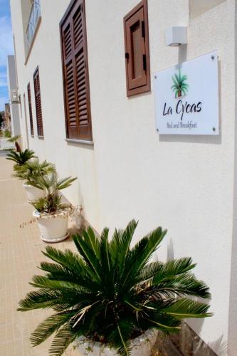 B&B La CYCAS 2