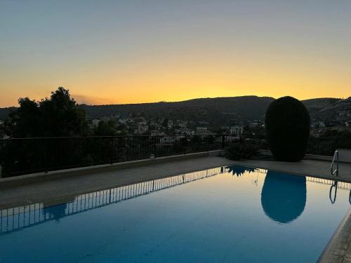 Serenity Pool & Garden Villa, Lemesos (fotografie 9)