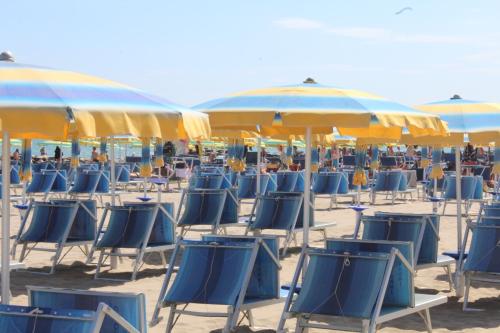Bãi biển, Hotel Holiday in Misano Adriatico