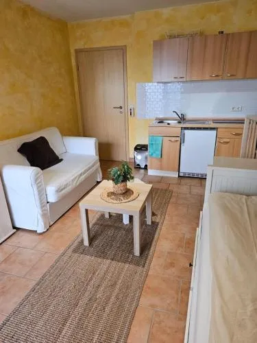 Studiowohnung zentral in Geisenheim 1-2 Personen in Geisenheim, Deutschland