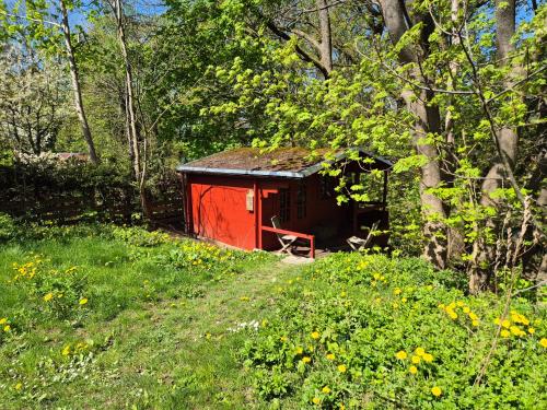 Viesnīcas āriene, Glampinghütte Georgenthal (Glampinghutte Georgenthal) in Georgenthal (Thuringia)