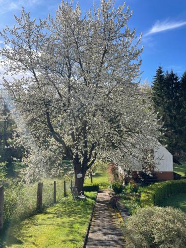 Am Kesperbaum in Germerode, Deutschland