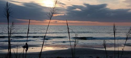 strand, Chambre indépendante Près de l'océan (Chambre independante Pres de l'ocean) in Cap Skirring
