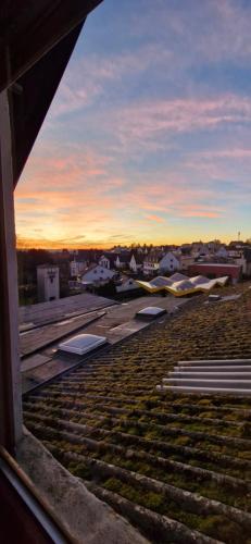 Hotel und Restaurant Adriatic in Boppard