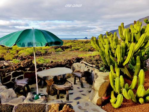花園, Casa Guinea in 弗龍特拉