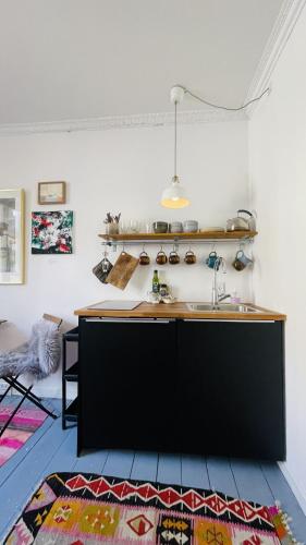 ApartmentInCopenhagen Apartment 1695, Kodaň (fotografie 3)