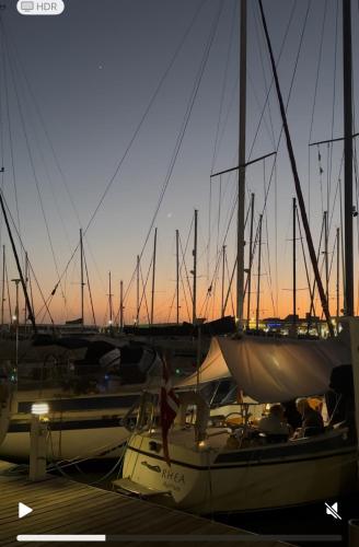 Boat in Puerto de Mogán 4