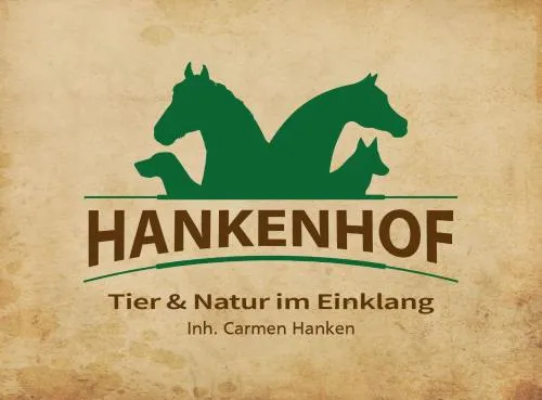 Ferienwohnungen auf dem "HANKENHOF" - 55169 in Filsum, Deutschland