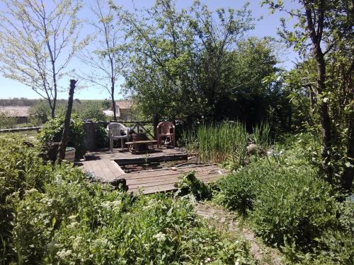 Dārzs, Rustic Village Retreat in Obedinenie