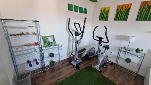 Fitnesa centrs, Urlaub am Sonnenhügl (Urlaub am Sonnenhugl) in Rinchnach