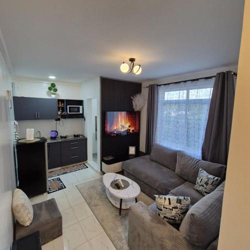 Greenzone apt, 1BR Kiambu Road, Gatunga (zdjęcie 3)