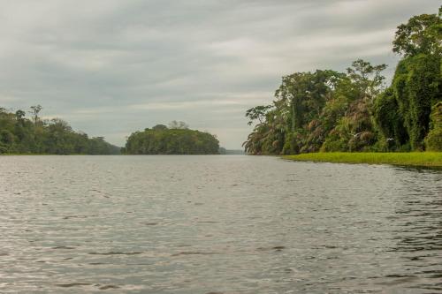 Hotel El Icaco Tortuguero