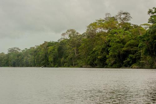 Hotel El Icaco Tortuguero